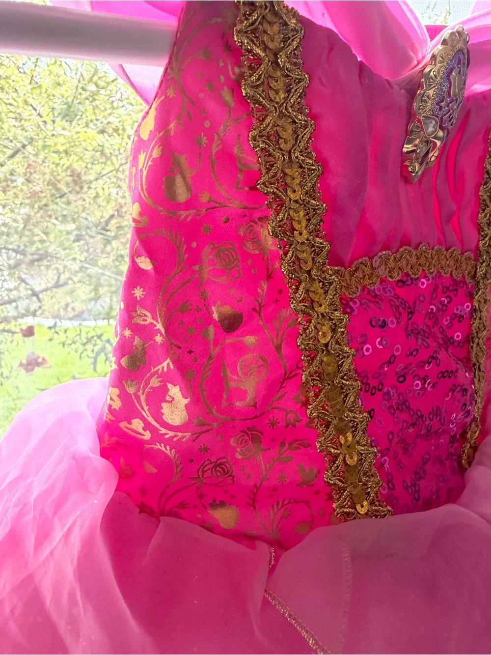 Disney Hot Pink Princess Dress with Gold Trim- Aurora